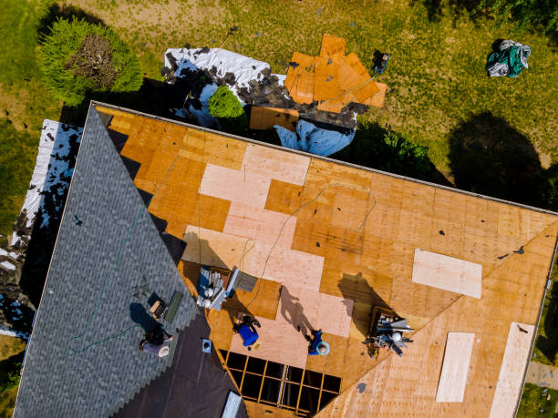 Best Roof Repair Services  in Comanche, OK